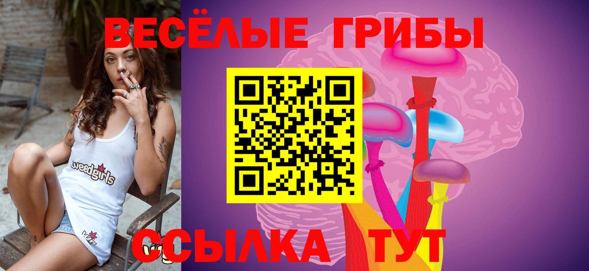 Псилоцибиновые грибы ЛСД Бирск